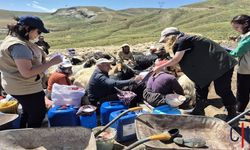 Hakkari'de Berivanlara Süt Hijyeni ve Sağım Eğitimi Verildi