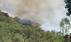 Hakkari'de Orman Yangını
