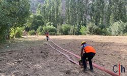 Hakkari'de Orman Yangını Kontrol Altına Alındı