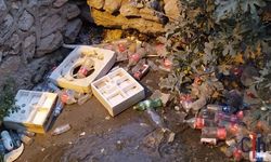 Hakkari’de Serink Deresi Alarm Veriyor: Mahalle Sakinleri Koku ve Çöp İsyanında