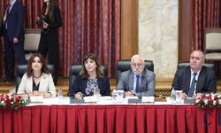 Gülistan Kılıç Koçyiğit: “Demokratik Katılım Kolektif Hakları da Kapsamalı”