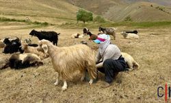 Hakkari'de Kadınların Emekle Dolu Berivanlık Çalışmaları
