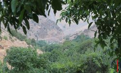 Hakkari'de Bu Köy Elektrik ve Yol Talepleri İçin Yıllardır Mücadele Ediyor
