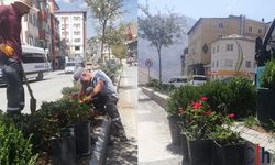 Hakkari’de Orta Refüjler Yenileniyor