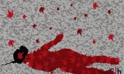 Hakkari İHD: Ekin Wan’ın Çıplak Teşhiri Hafızalarda!