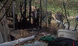 Hakkari’de 4 Ayrı Noktada Yangın Alarmı: İtfaiyeden Hızlı Müdahale