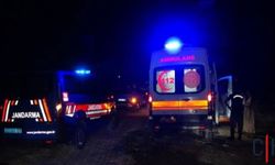 Hakkâri’de Otomobil Yola Çıkan Ata Çarptı: At Telef Oldu