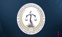 Yüksekova'da Doğalgaz Tartışması: ÖHD Hakkari Şubesinden Sert Tepki