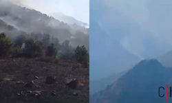 Hakkari'deki Orman Yangını İki Gündür Kontrol Altına Alınamıyor