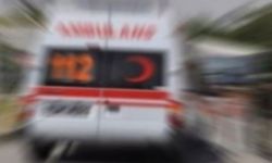Van'da 1 anne ve 2 çocuğu öldürüldü