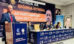 Cumhurbaşkanı Erdoğan’dan Hakkâri’ye Sürpriz Bağlantı