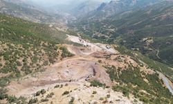 Başkan Tekin’den Altınsu’daki doğa katliamına tepki