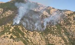 Hakkari'deki Orman Yangınında Söndürme Çalışmalarına Helikopter Desteği