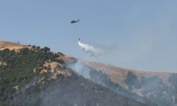 Hakkari Şemdinli’de Orman Yangını: Ekipler Havadan ve Karadan Müdahale Ediyor