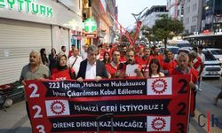 Kayyum 223 İşçinin İşine Keyfi Son Verdi!