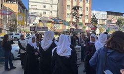 Yüksekova’da DEM Parti’den Barış Sürecine Destek İçin İmza Kampanyası