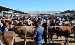 Hakkari’de Hayvancılık İçin Yeni Dönem Başladı