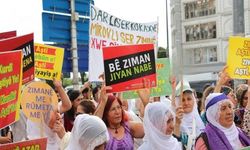 Kürtçeye tahammülsüzlük kabul edilemez, pratik adımlar atılmalı