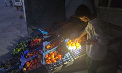 Hakkâri’de Köylü Esnaflarının Elektrik Talebi