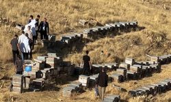 Hakkari'de Bu Köy Artık Arıcılığın Merkezi: Bal Hasadı Başladı
