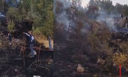 Hakkari’de Ormanlık Alanda Anız Yangını