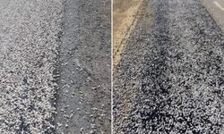 Hakkari’de Çakıl Asfalt Tartışması: HESOB Başkanı Tekin’den Acil Eylem Çağrısı