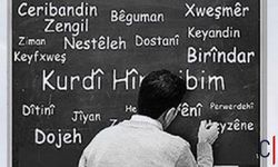 Kürtçe Seçmeli Ders İçin İlk Adım: İki Sınıf Açıldı