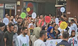 Hakkari’de 1 Eylül Dünya Barış Günü Halaylarla Kutlandı