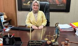 Hakkari'de Ekonomik Nedenler Suç Oranlarını Yükseltiyor