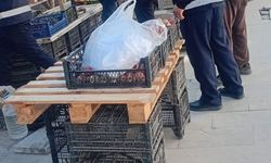 Hakkari’de Kaldırımları İşgal Eden Esnafa Ceza Yağdı
