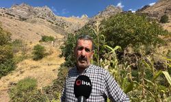 Dağ Keçilerinin Güvenli Limanı Hakkari’deki ‘Kale Dağı’ Oldu