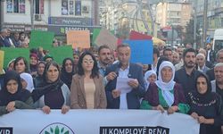 DEM Parti Hakkari İl Örgütü’nden “9 Ekim Komplosu”na Tepki
