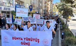 Hakkari İl Sağlık Müdürlüğü’nden Sağlıklı Yaşam İçin Yürüyüş Etkinliği