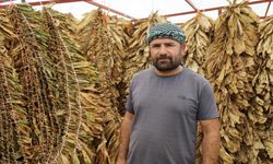 Tütün Para Kazandırmıyor, Üretici Zararda