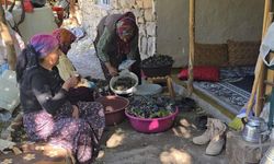 Hakkari’nin Güzereş Köyünde Kadınlardan Üzüm Hasadı