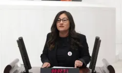 DEM Parti'den 10 Ekim Katliamı İçin Meclis’e Araştırma Önergesi