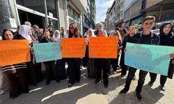Yüksekova’da Rojin Kabaiş İçin Adalet Çağrısı: “Cezasızlık Sona Ersin”