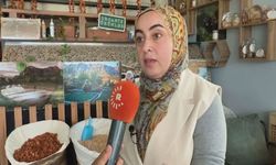 Hakkari’de Kenger Tohumu Gelir Kapısı Oldu