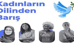 Yüksekova’da “Kadınların Dilinden Barış” Paneli Düzenlenecek