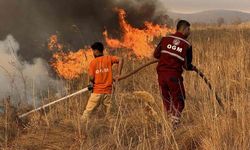 Hakkari’nin Kuş Cenneti Nehil Sazlığı’nda Yangın Alarmı