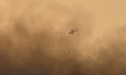 Hakkari’nin Kuş Cenneti Yanıyor: Yangına Havadan Müdahale