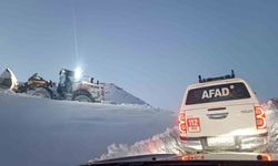 Hakkari’de 3 Bin Rakımlı Yaylada Mahsur Kalan 19 Büyükbaş Hayvan Kurtarıldı