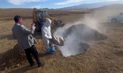 HESOB Başkanı Tekin’den Canlı Hayvan Katliamına sert tepki