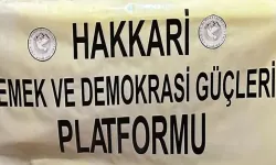 Hakkari'de STK'lardan Kontrol Noktası Açıklaması