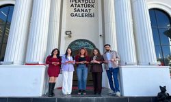 Vali Ali Çelik’ten Sanata Destek