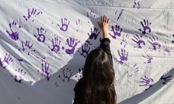 Hakkari'de 25 Kasım yürüyüşlerine çağrı