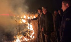 Hakkari'de Kuş Cenneti Alevlere Teslim