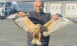 Hakkari'de Yaralı olarak Bulunan Baykuş Tedavi Altına Alındı