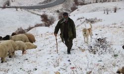 Hakkari’de Erken Kar Sürprizi: Yüksek Kesimler Beyaza Büründü