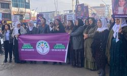 Dem Parti Yüksekova'da "Kadın şiddetine hayır" yürüyüşü düzenledi